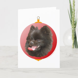 Navidad de Pomerania