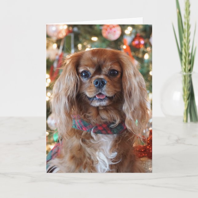 Navidad de rubíes (Anverso)