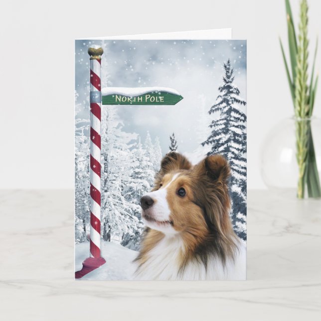 Navidad de Sheltie (Anverso)