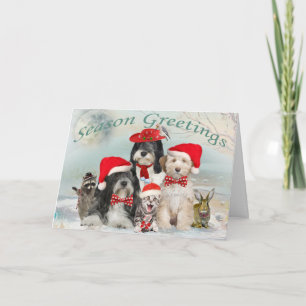 Navidad de Terrier tibetano con los amigos