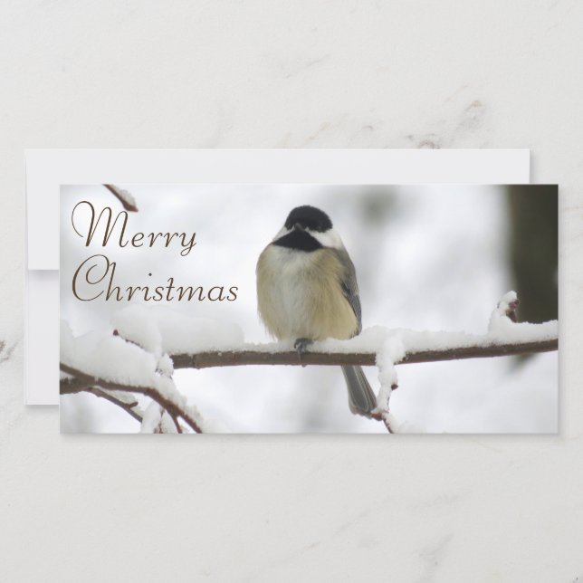 Navidad de un Chickadee (Anverso)