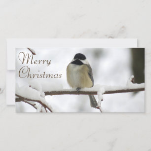 Navidad de un Chickadee