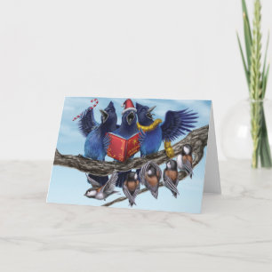 Navidad de una costa oeste: Jays