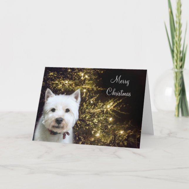 Navidad de Westie (Anverso)