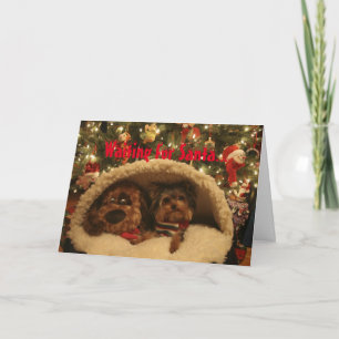 Navidad de Yorkie