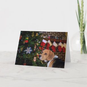 Navidad del beagle