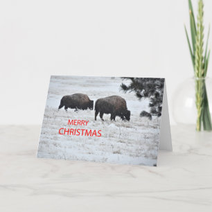 Navidad del búfalo