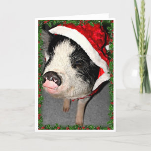 Navidad del cerdo del Belly de pote