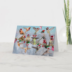 Navidad del colibrí