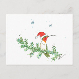 Navidad del colibrí