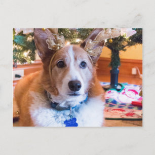 Navidad del Corgi Galés del Pembroke