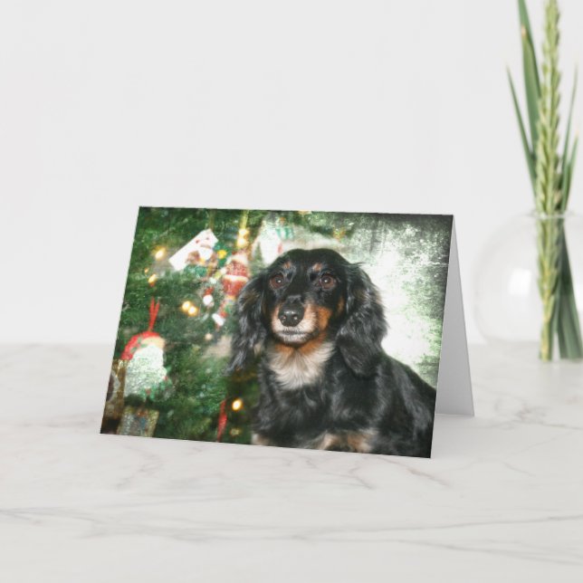 Navidad del Dachshund (Anverso)