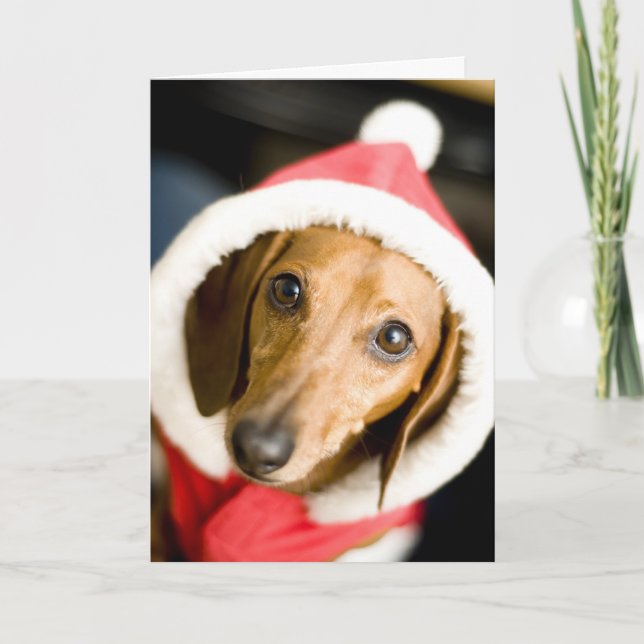 Navidad del Dachshund (Anverso)