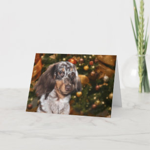 Navidad del Dachshund