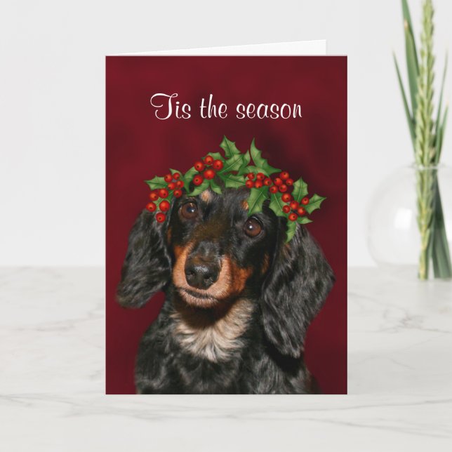 Navidad del Dachshund (Anverso)