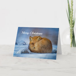 Navidad del Fox rojo