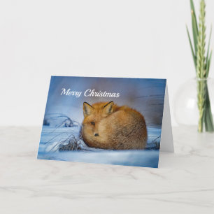 Navidad del Fox rojo