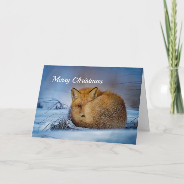 Navidad del Fox rojo (Anverso)