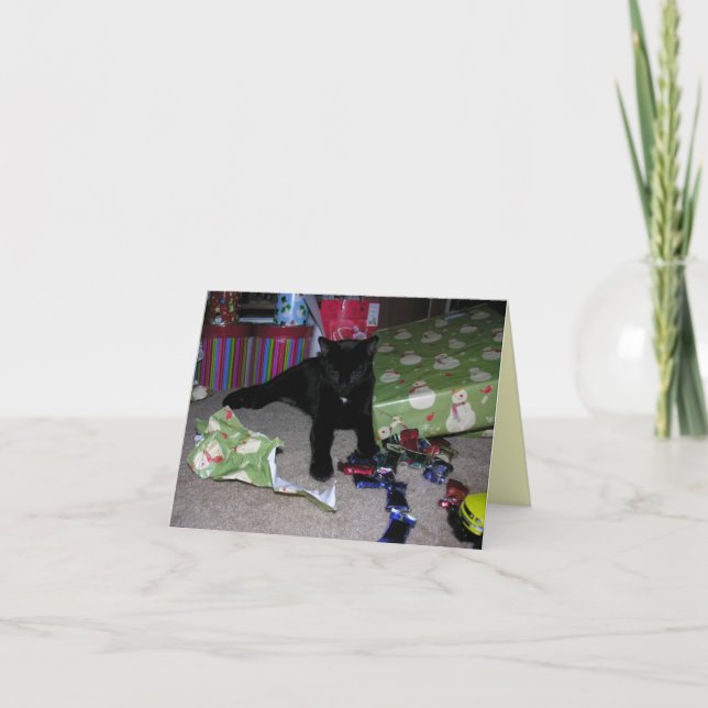 Navidad del gatito (Anverso)