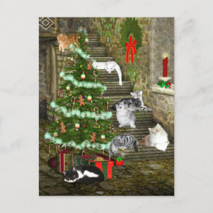 Navidad del gato