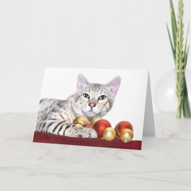 Navidad del gato de Bengala (Anverso)