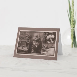 Navidad del gato que saluda de actriz famosa