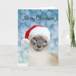 Navidad del gato siamés