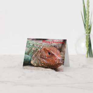 Navidad del lagarto