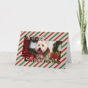 Navidad del oeste Photocard de Terrier de la