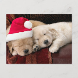 Navidad del perrito