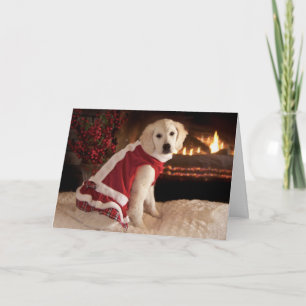Navidad del perrito del golden retriever y Años