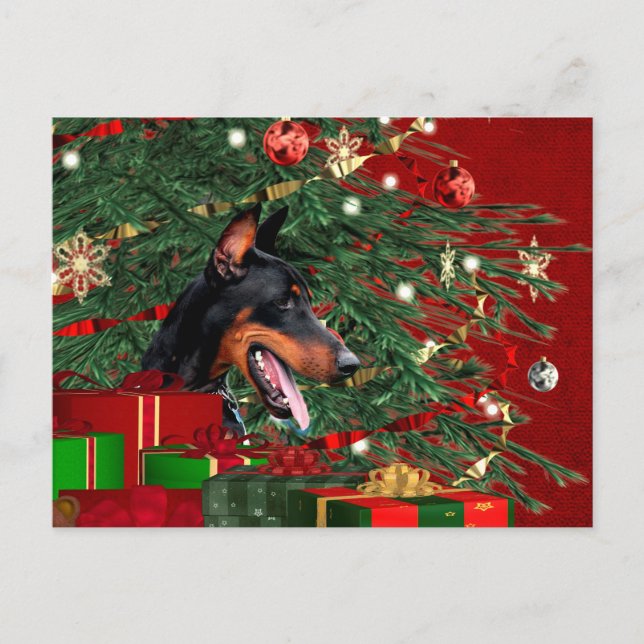Navidad del pinscher del Doberman (Anverso)