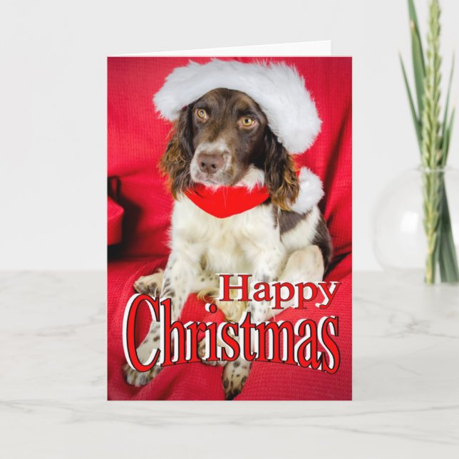 Navidad del saltador (Anverso)