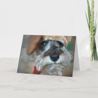 Navidad del Schnauzer
