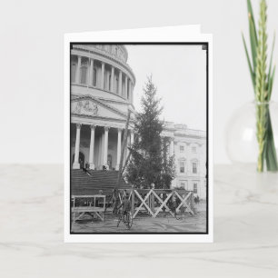 Navidad del Washington DC