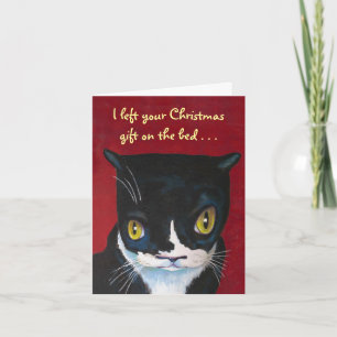 Navidad divertido del gato