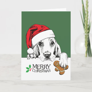Navidad Dog Basset Hound