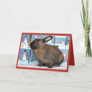 Navidad en conejo conejo conejo conejo con cajas n