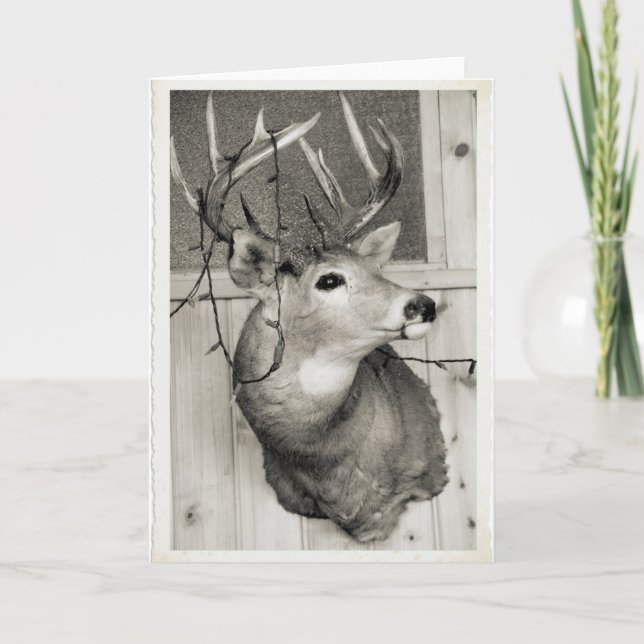 Navidad en Wisconsin (Anverso)