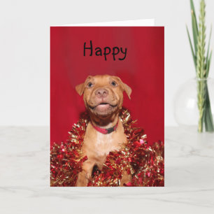 Navidad feliz del perrito del pitbull