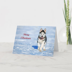 Navidad fornido del perrito