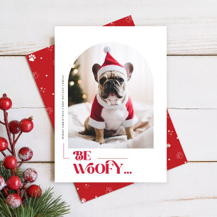 Navidad Foto Arco Perro Mascota Divertido Moderno
