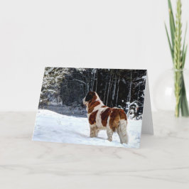 Navidad fotográfico de la nieve de St Bernard que