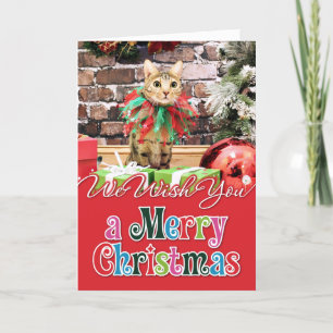 Navidad - gato de Bengala - Jack