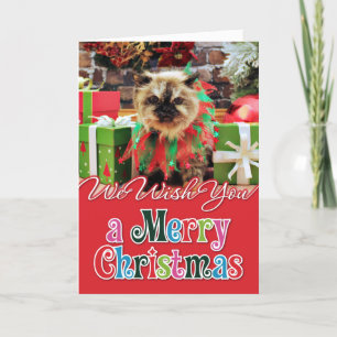 Navidad - gato Himalayan - pensamiento