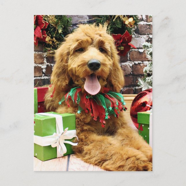 Navidad - GoldenDoodle - Claire (Anverso)