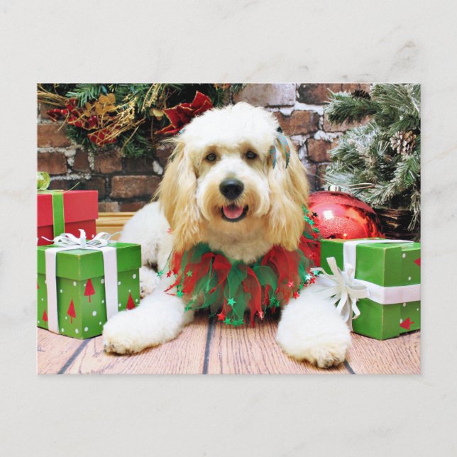 Navidad - GoldenDoodle - Mazey (Anverso)