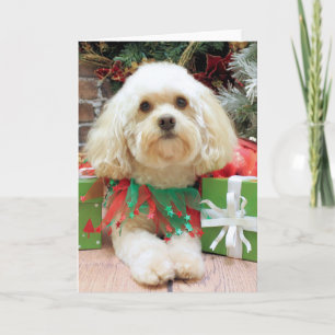 Navidad - Havanese - albañil