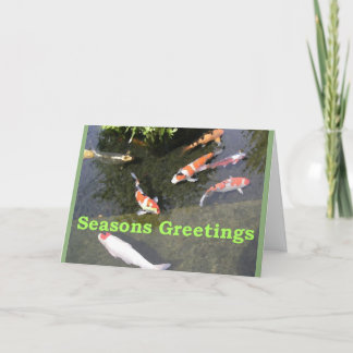 Navidad Koi