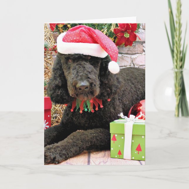 Navidad - LabraDoodle - Miller (Anverso)